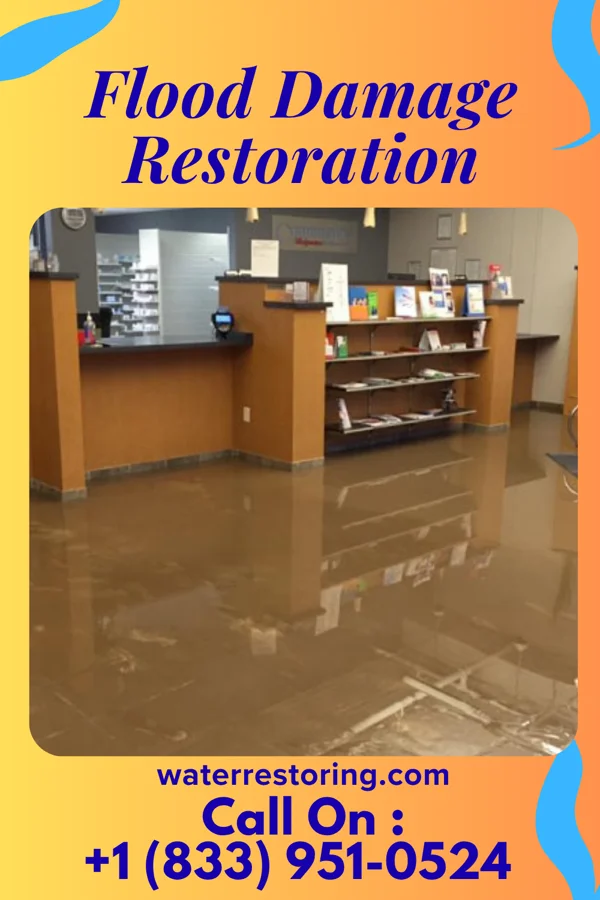 Flood Damage Restoration in Pine Lawn, MO