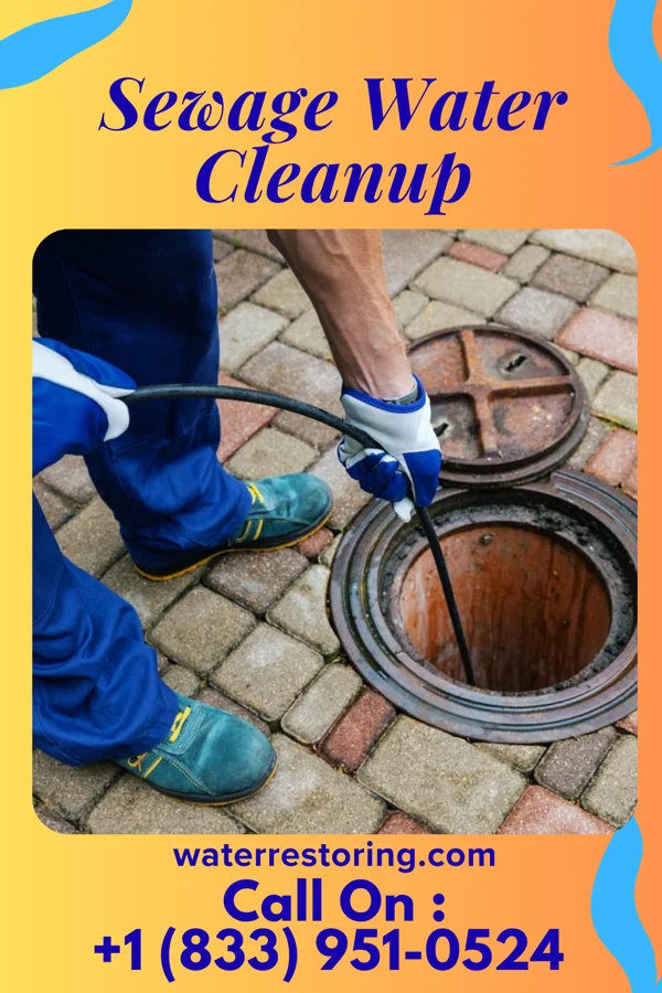 Sewage Water Cleanup in Pine Lawn, MO